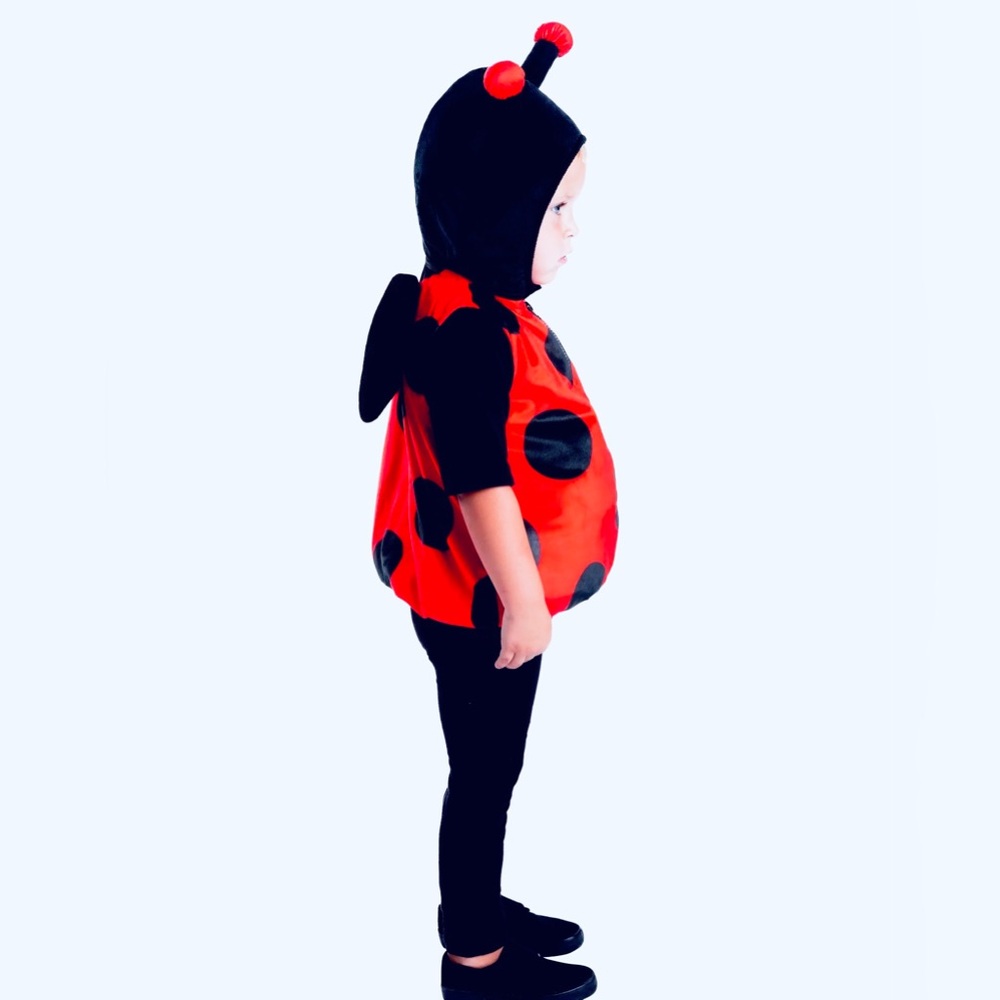 Fun of a Kind | Baby Ladybug 12M